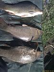     
: IMAGE_041.jpg
: 131
:	158.7 
ID:	6002992