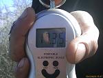     
: IMAGE_039.jpg
: 159
:	91.3 
ID:	6002993