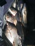     
: IMAGE_040.jpg
: 146
:	107.7 
ID:	6002994