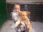     
: 2013-04-03 17.14.30.jpg
: 5
:	129.9 
ID:	6010532