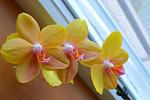     
: DSC_0030.jpg
: 49
:	78.7 
ID:	6014639