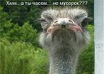     
: 526938.jpg
: 12
:	97.1 
ID:	6019936