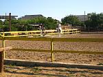     
: IMG_0810.jpg
: 383
:	226.3 
ID:	602127