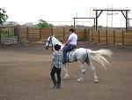    
: IMG_1025.jpg
: 421
:	138.5 
ID:	602154