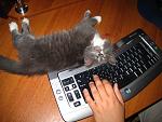     
: IMG_1162.jpg
: 16
:	160.4 
ID:	602300