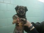     
: 2013-04-05 13.42.50.jpg
: 6
:	78.6 
ID:	6023855