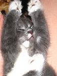     
: IMG_0801.jpg
: 21
:	121.5 
ID:	602403