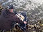     
: 06042013084.jpg
: 146
:	174.4 
ID:	6029196