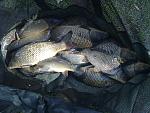     
: 06042013083.jpg
: 155
:	211.2 
ID:	6029197