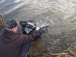     
: 06042013085.jpg
: 137
:	219.4 
ID:	6029198