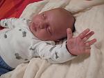     
: IMG_0944.jpg
: 34
:	124.1 
ID:	6029554