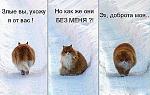     
: I'll be back!.jpg
: 25
:	72.2 
ID:	6031869