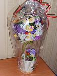     
: SAM_8814.jpg
: 7
:	104.5 
ID:	6032930