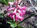     
: IMG00033.jpg
: 5
:	222.2 
ID:	6033121