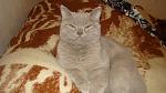     
: DSC06873.jpg
: 28
:	117.3 
ID:	6034302