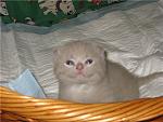     
: 2cf33f79421d.jpg
: 16
:	49.9 
ID:	6034306