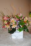     
: DSC_0010.jpg
: 7
:	82.6 
ID:	6034837