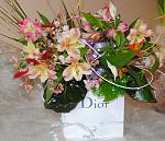     
: DSC_0015.jpg
: 13
:	151.6 
ID:	6034868