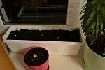     
: _DSC1392.jpg
: 20
:	75.4 
ID:	6036153