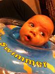     
: IMG_0434.jpg
: 32
:	86.0 
ID:	6039552