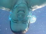     
: 201303202889.jpg
: 15
:	84.6 
ID:	6040534