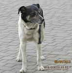     
: 1365283366_qu41lut7osc.jpg
: 16
:	45.4 
ID:	6041004