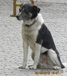     
: 1365283329_zoduip5_tqk.jpg
: 22
:	49.4 
ID:	6041005