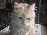     
: DSC00521.JPG
: 11
:	145.4 
ID:	6041598