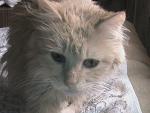     
: DSC00513.JPG
: 8
:	137.6 
ID:	6041625