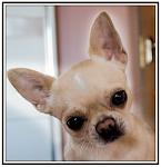     
: msK-lr5RDUo.jpg
: 11
:	83.1 
ID:	6043215