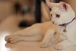     
: IMG_0211.jpg
: 6
:	36.8 
ID:	6044518