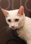     
: IMG_0225.jpg
: 7
:	41.7 
ID:	6044524