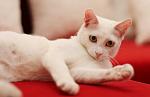     
: IMG_0198.jpg
: 2
:	38.8 
ID:	6044525