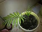     
: 08042013809.jpg
: 10
:	109.8 
ID:	6045632