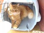     
: DSC00139.jpg
: 5
:	103.7 
ID:	6045950