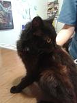     
: 20130409_160605.jpg
: 7
:	58.4 
ID:	6050550