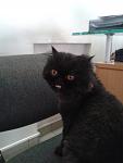     
: 20130409_153454.jpg
: 30
:	51.8 
ID:	6050644