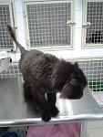     
: 20130409_151342.jpg
: 24
:	79.2 
ID:	6050646