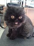     
: 20130409_153657.jpg
: 27
:	78.5 
ID:	6050649