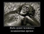     
: 18196372_zhaba-dushit-cheloveka-s-nezapamyatnyih-vremen.jpg
: 19
:	88.8 
ID:	6051216
