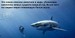     
: DKV3mofDjbE.jpg
: 7
:	26.5 
ID:	6051718