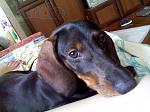     
: 78628125_2_644x461_otdam-taksu-v-horoshie-ruki-fotografii-1.jpg
: 9
:	30.2 
ID:	6052640