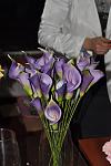     
: DSC_0050.jpg
: 13
:	63.1 
ID:	6058893
