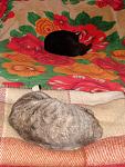     
: 2013-04-10 две звезды.JPG
: 4
:	134.6 
ID:	6059850