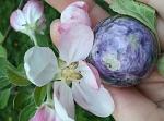     
: 2012-05-07 19.36.49.jpg11.jpg11111.jpg
: 12
:	30.9 
ID:	6065423