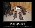     
: 1354867218_00123.jpg
: 2
:	45.0 
ID:	6065533