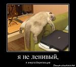     
: demotivator-0046.jpg
: 2
:	122.5 
ID:	6065539