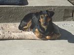     
: DSC02643.JPG
: 2
:	144.1 
ID:	6068423