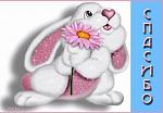     
: orig_f75921f6ea1bb4040d4024b4b980a654.jpg
: 28
:	147.1 
ID:	6068784