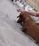     
: P9260287.jpg
: 15
:	97.0 
ID:	607468